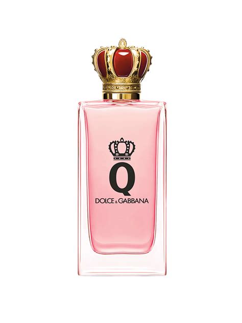 dutch and gabbana|dolce gabbana women's.